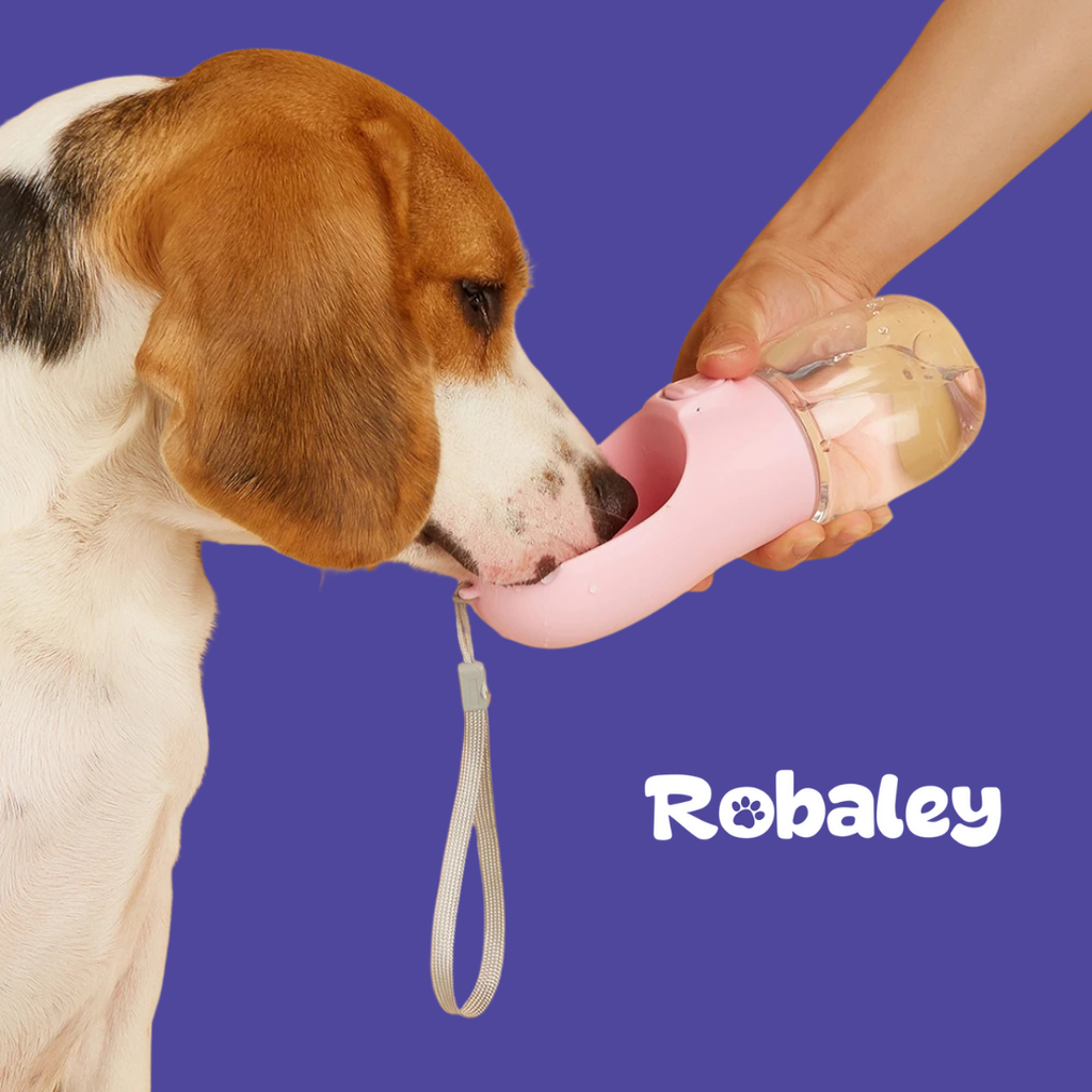 Portable Water Bowl (550ml)