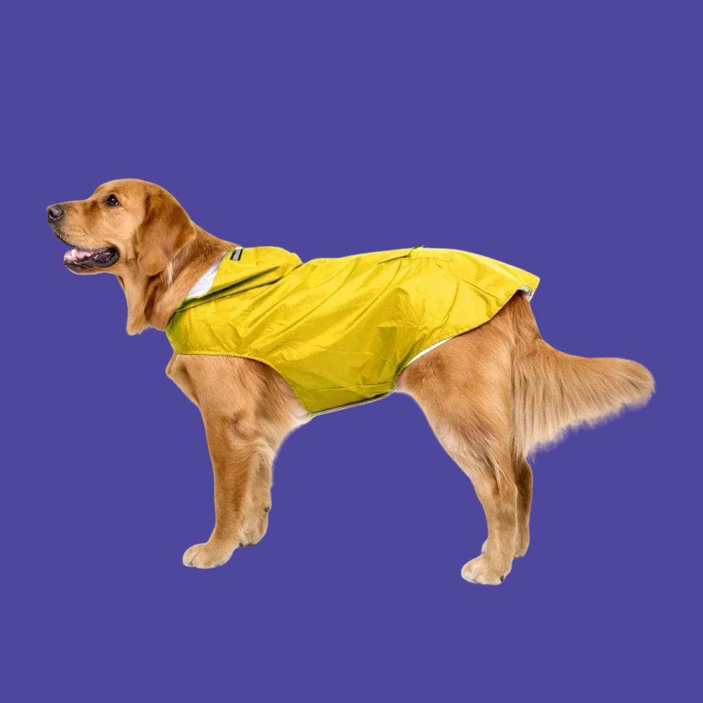 Waterproof Raincoat