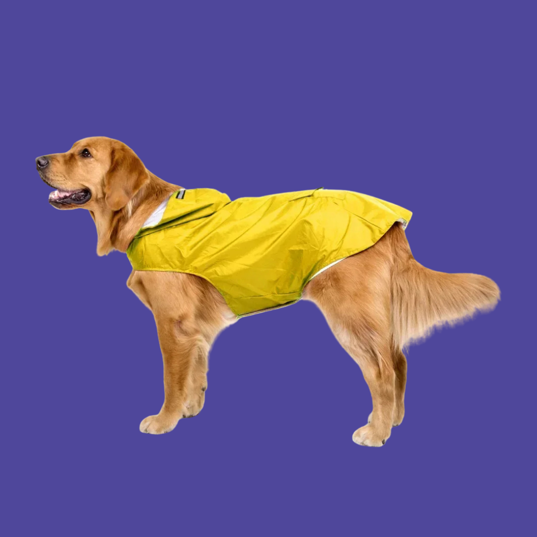 Waterproof Raincoat