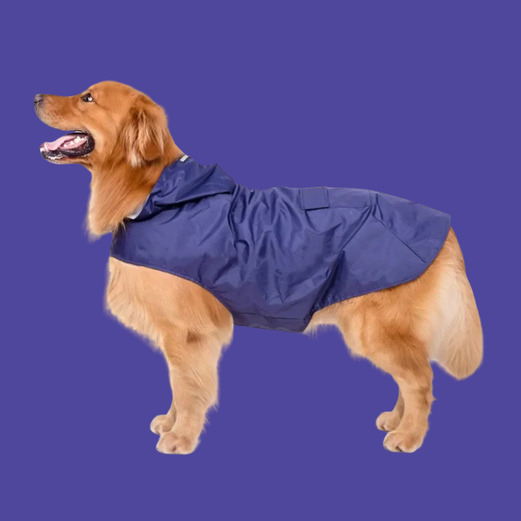 Waterproof Raincoat