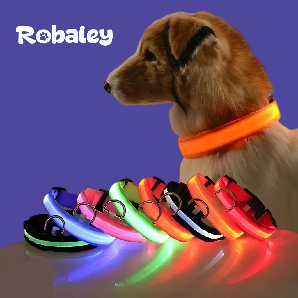 Light Up Collar