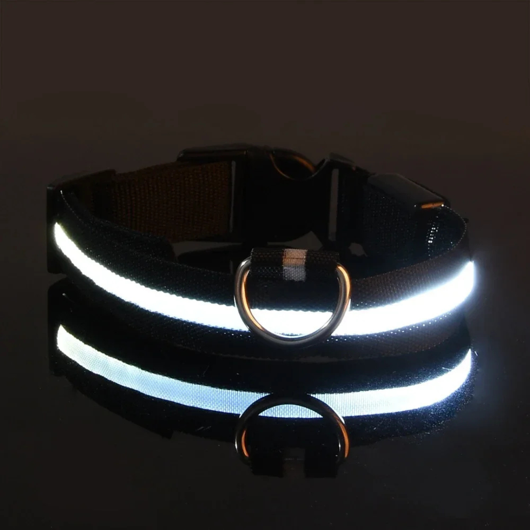 Light Up Collar