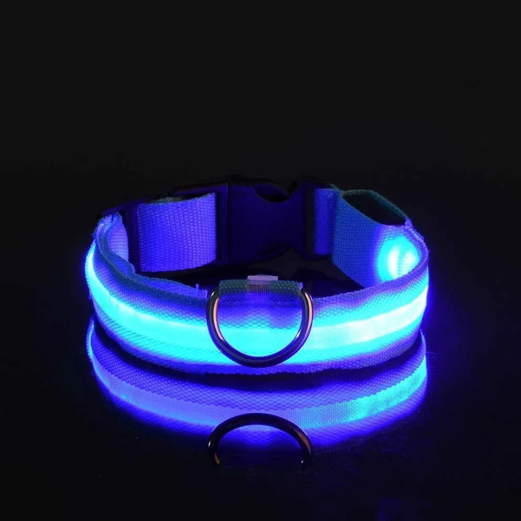 Light Up Collar