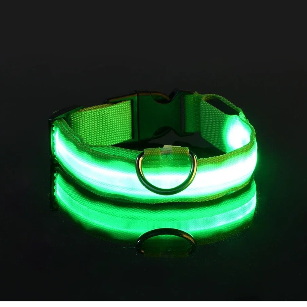 Light Up Collar