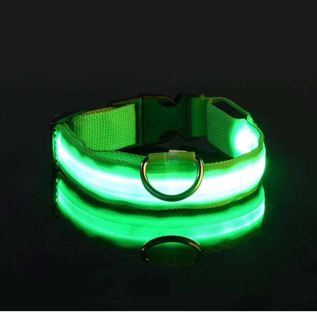 Light Up Collar