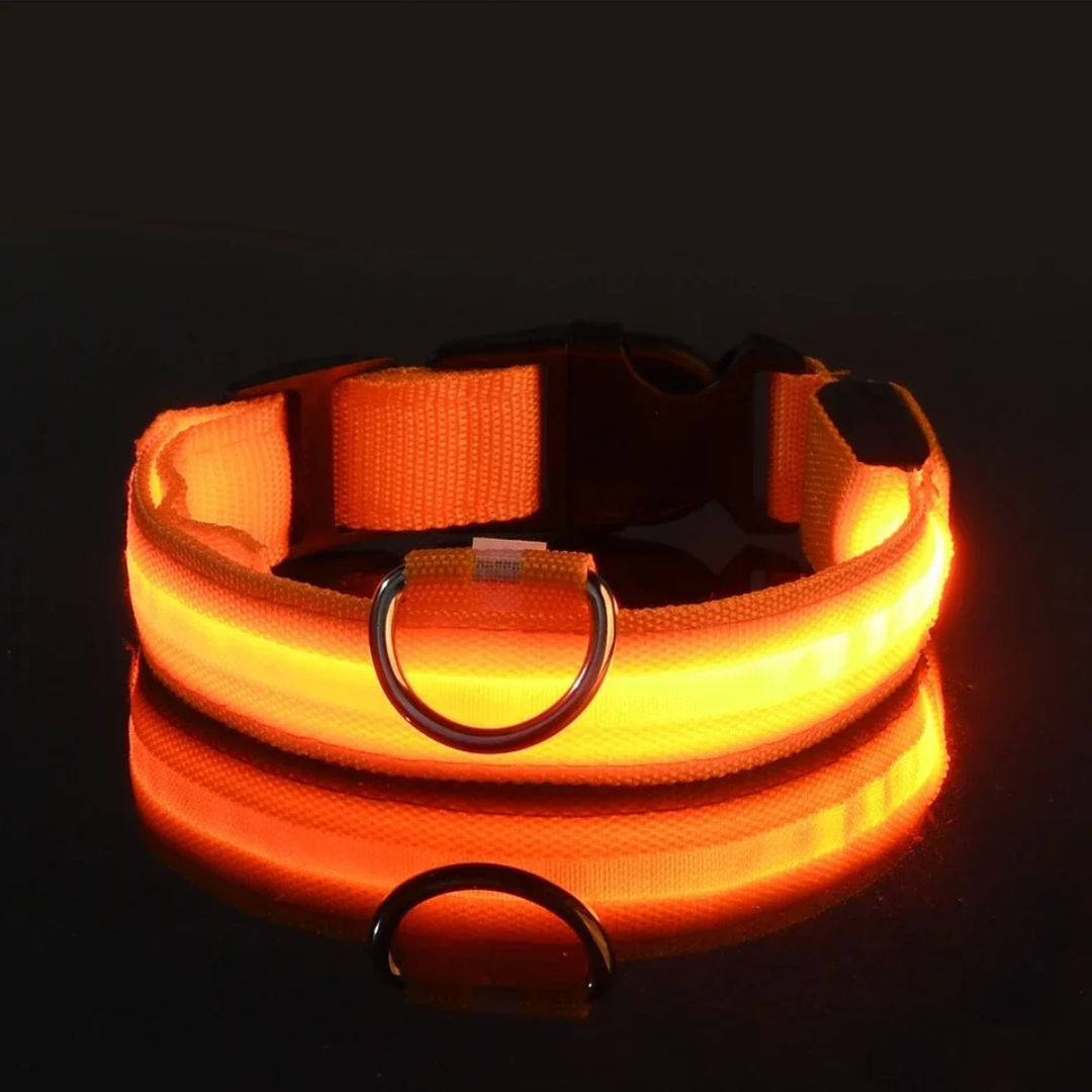 Light Up Collar