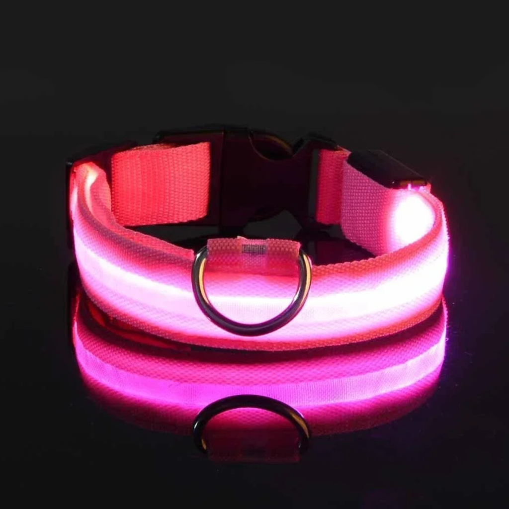 Light Up Collar