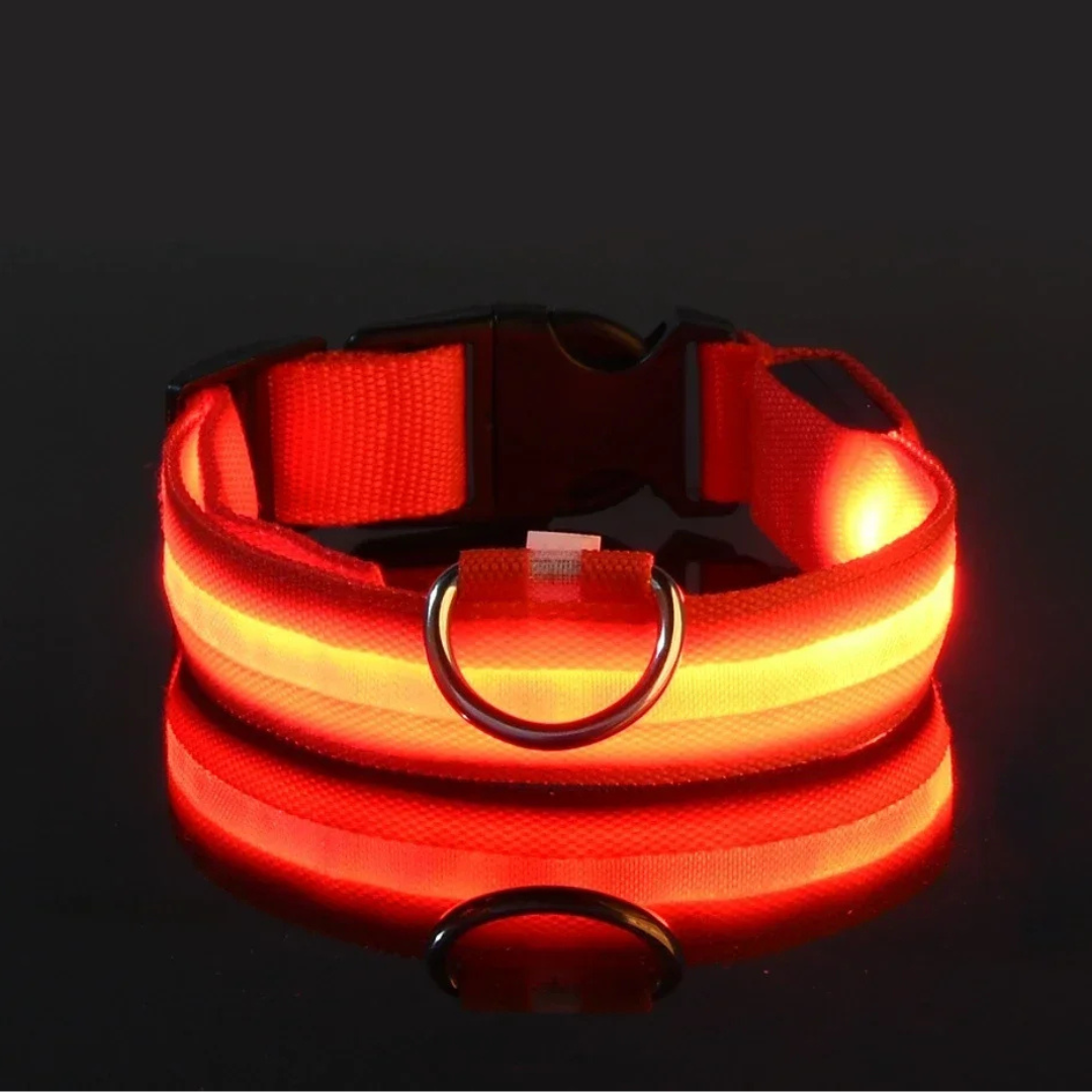 Light Up Collar