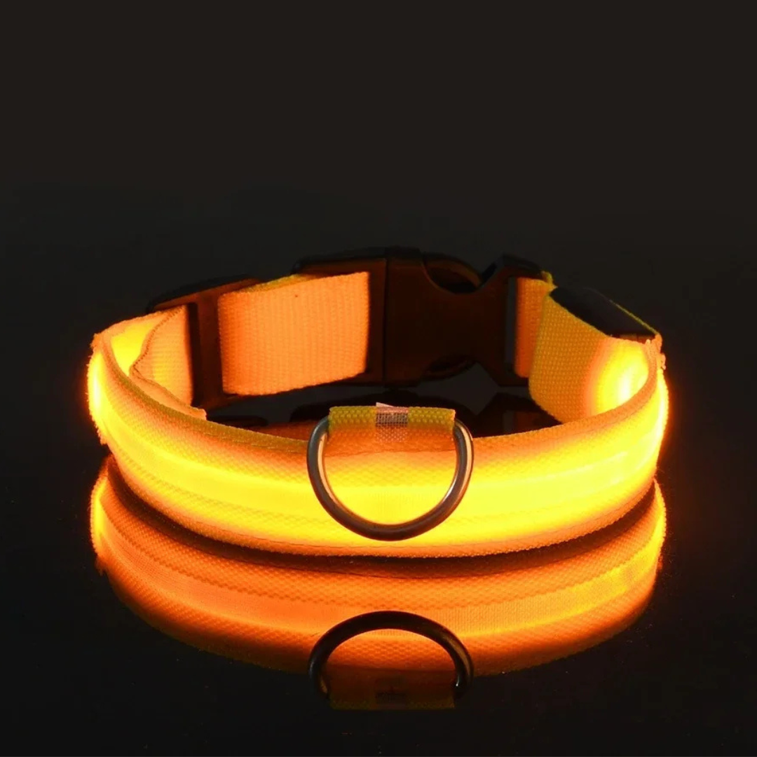 Light Up Collar