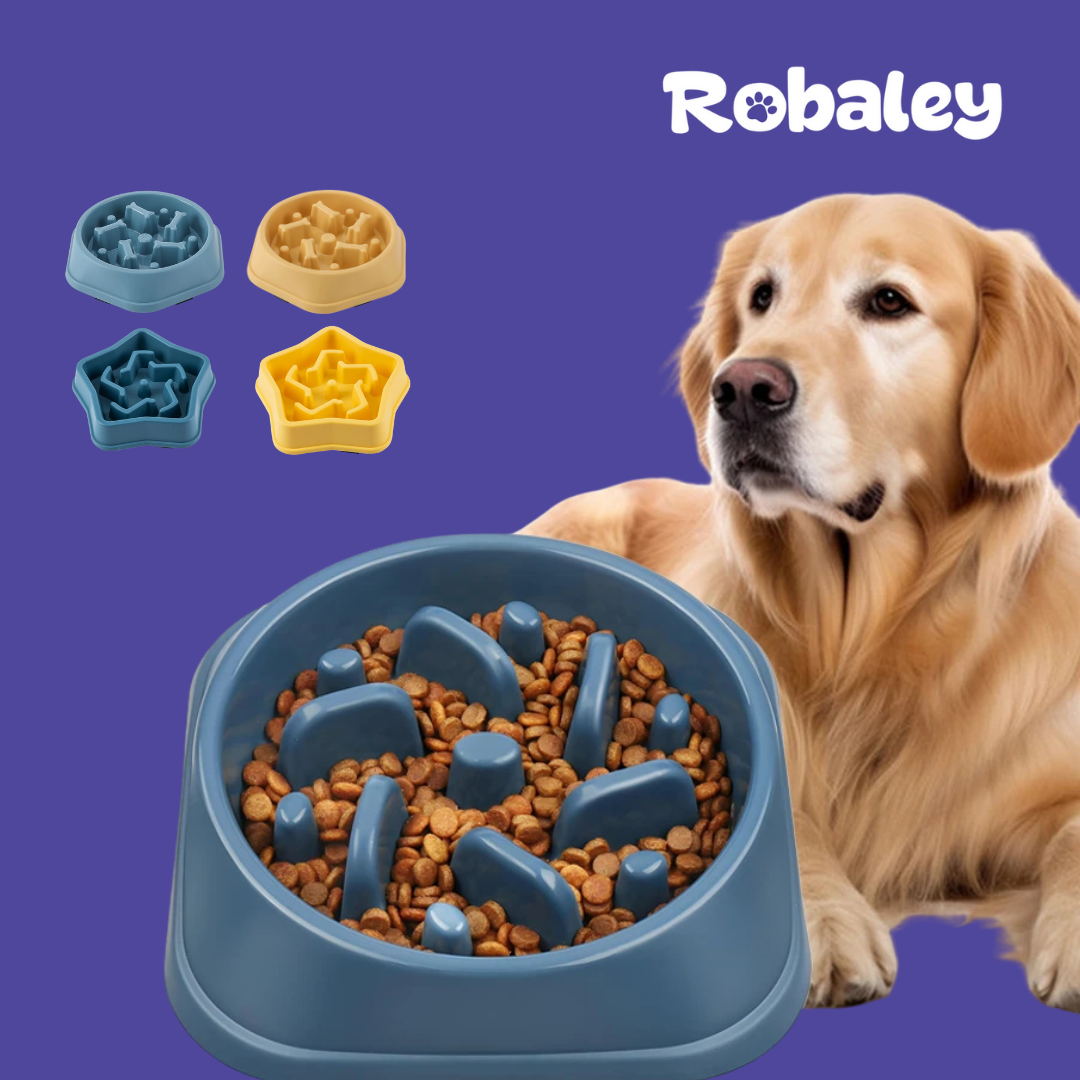 Slow Feeder Dog Bowl