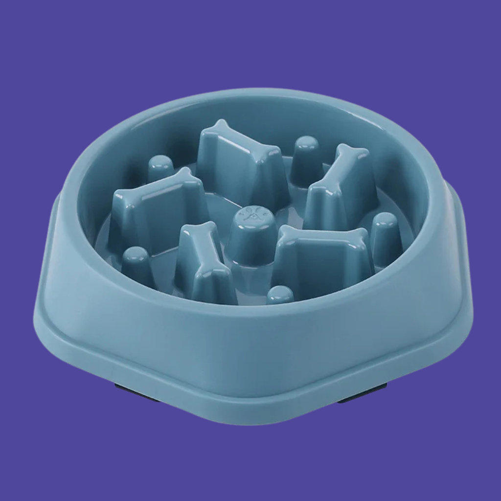 Slow Feeder Dog Bowl