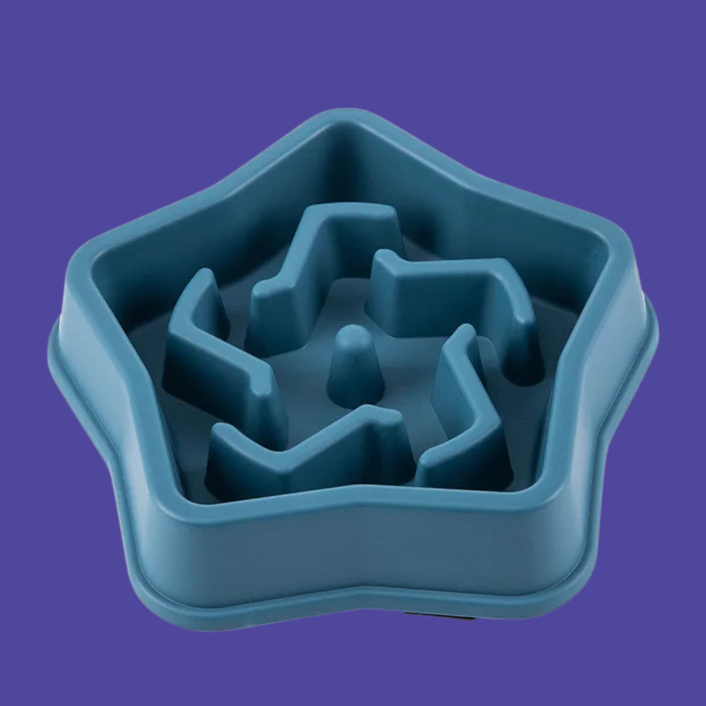 Slow Feeder Dog Bowl