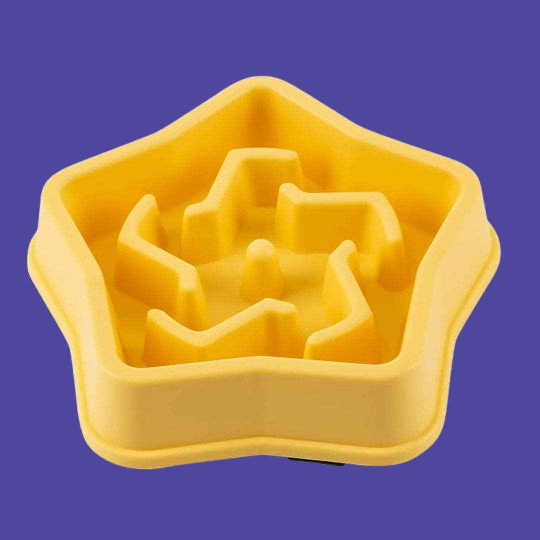Slow Feeder Dog Bowl