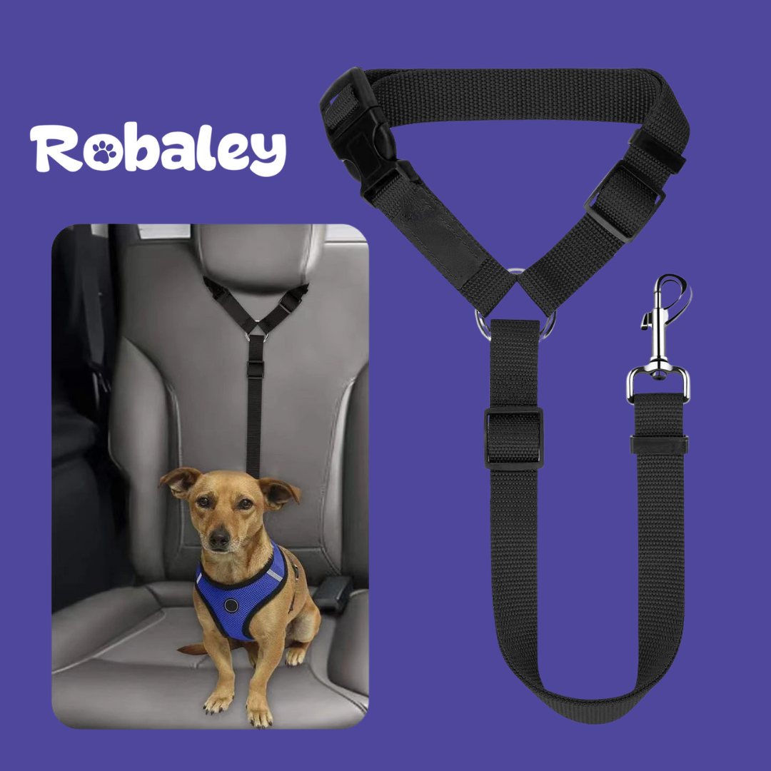 Car Seat Belt